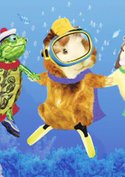 The Wonder Pets