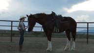 A Horse Story