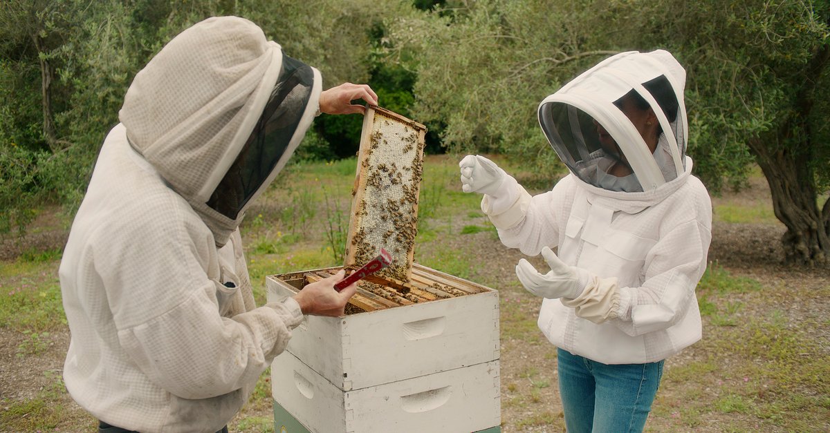 „Ich habe die Lebenslust verloren“: Verhasste Netflix-Serie wird trotz