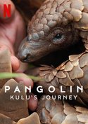 Pangolin: Kulus Weg