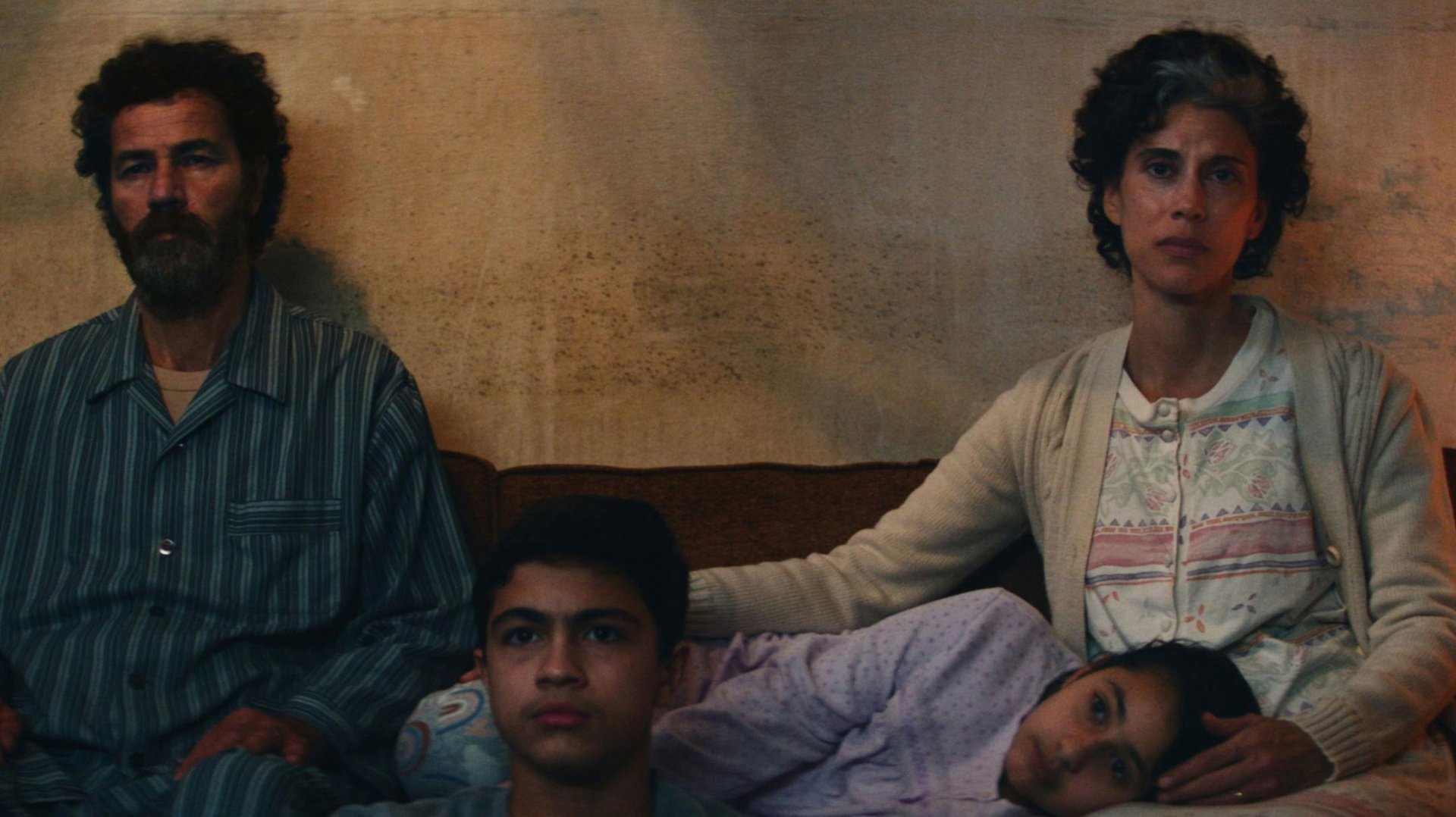 Im Schatten des Orangenbaums